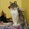 Отзыв от Оля Афанасьева